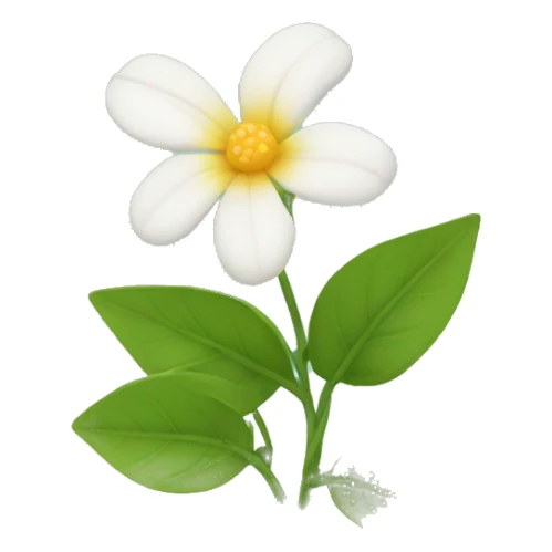 jasmins flowers with leafs sticker