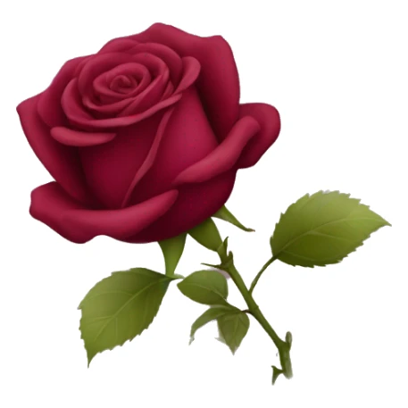 Burgundy rose sticker