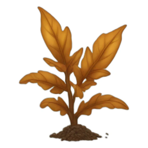 sick plant dry leaves brown sticker