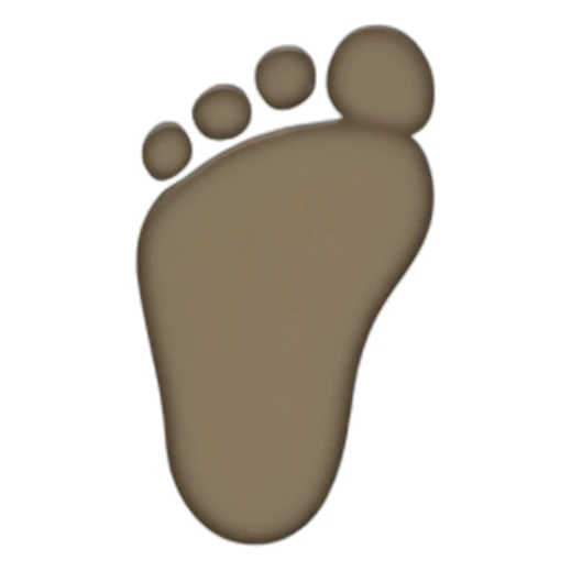 footprint sticker