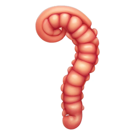 Stomach And intestine sticker