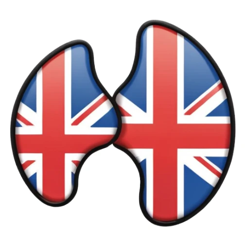 Minimalistic flat vector icon, iOS style, thin black contour on white background. Ear icon with sound waves and small UK/USA flag symbol. Clean, no text, no shadows sticker