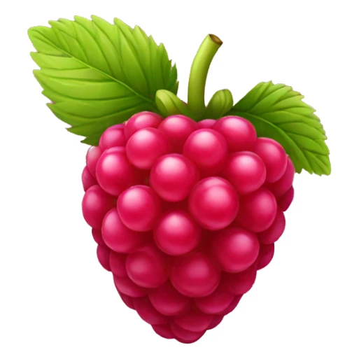 raspberry sticker