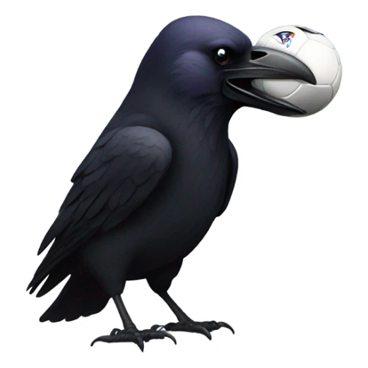 Raven with a football  sticker