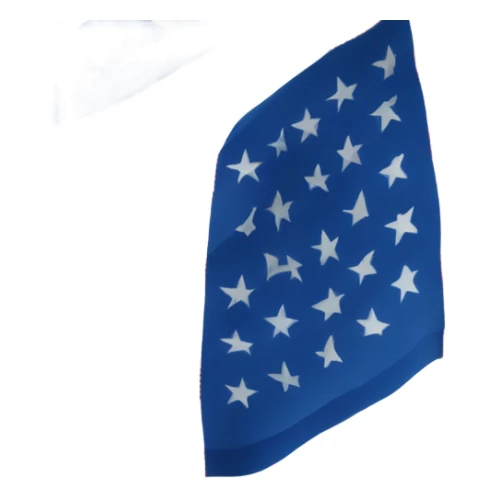 Image flat of American flag replace red stripes with blue stripes sticker