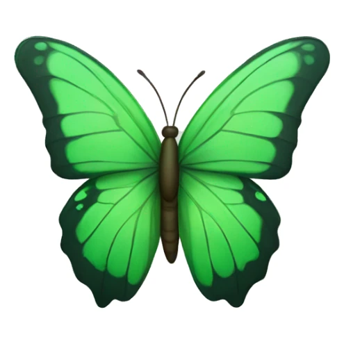 Green butterfly sticker