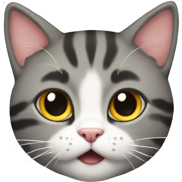 meow emoji