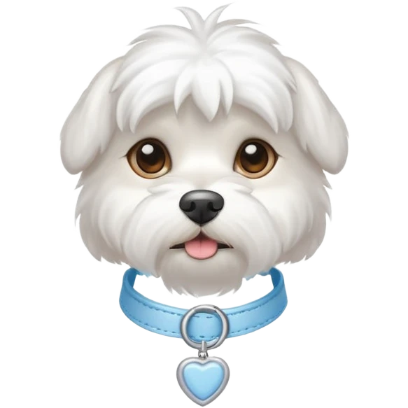 A white Maltese dog with a light blue collar  emoji