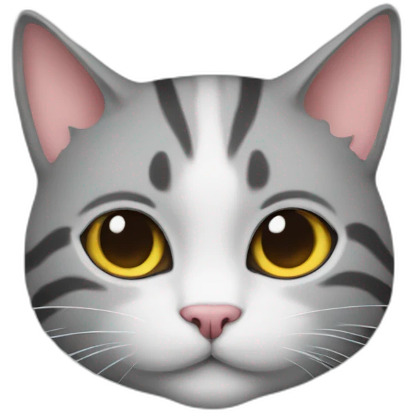 CAT on a rocat emoji