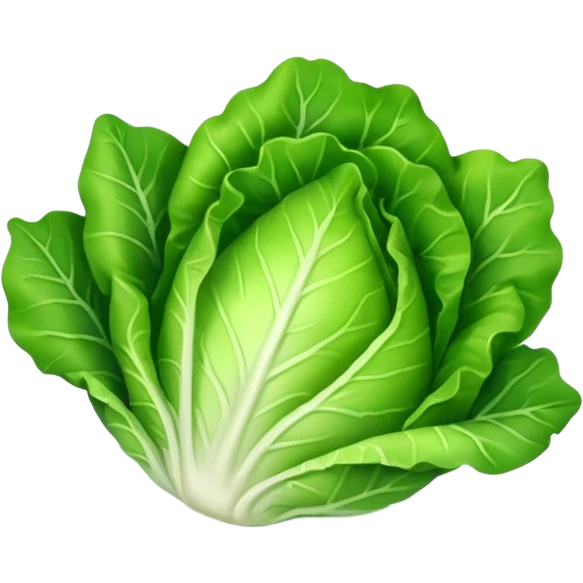 lettuce single  leaf  emoji