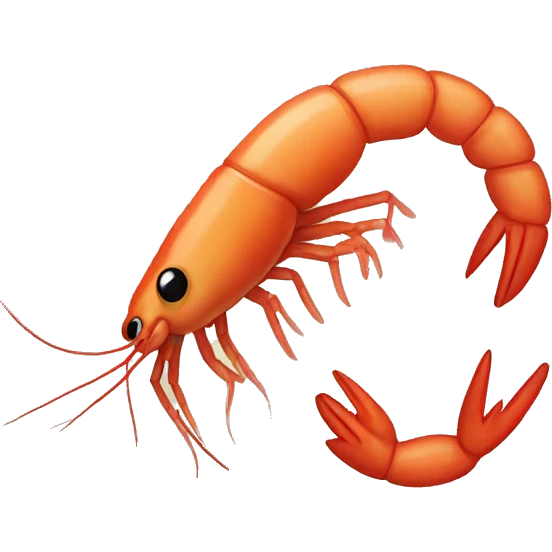 shrimp emoji