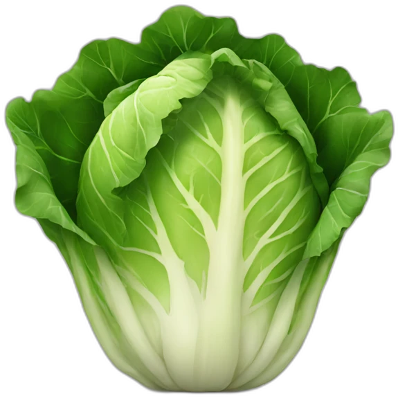 voting cabbage emoji