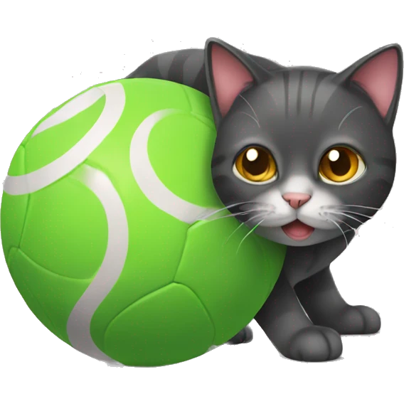 cat with ball emoji