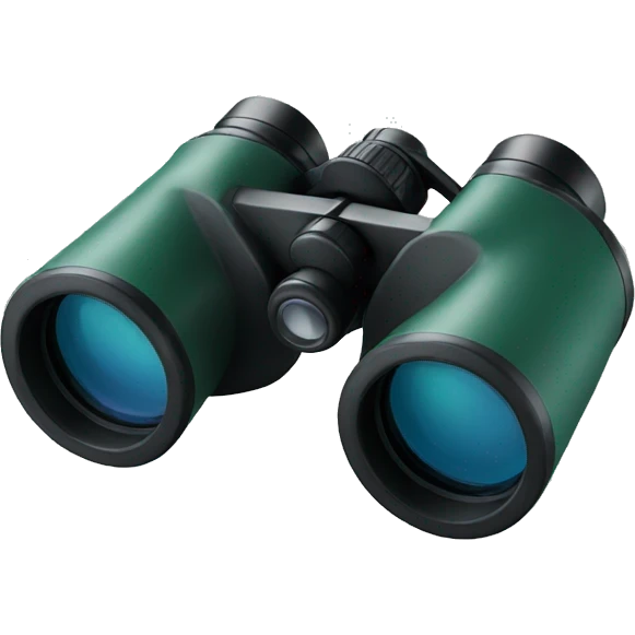 Binoculars  emoji