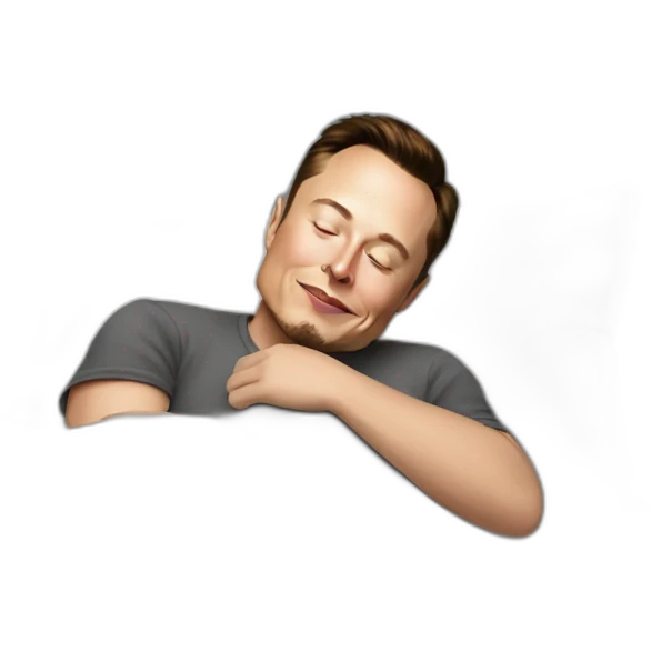 Elon Musk sleeping with emoji