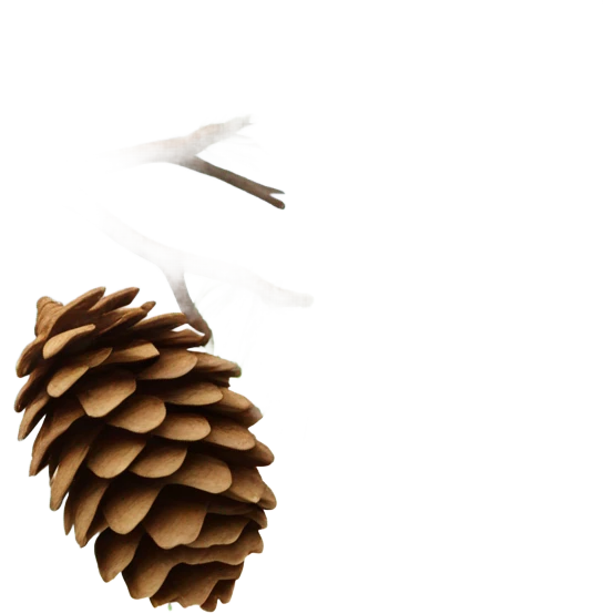 bum šiška spadla emoji
