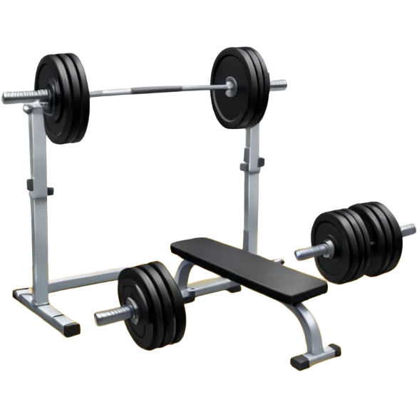 pesa gym discos sin persona emoji