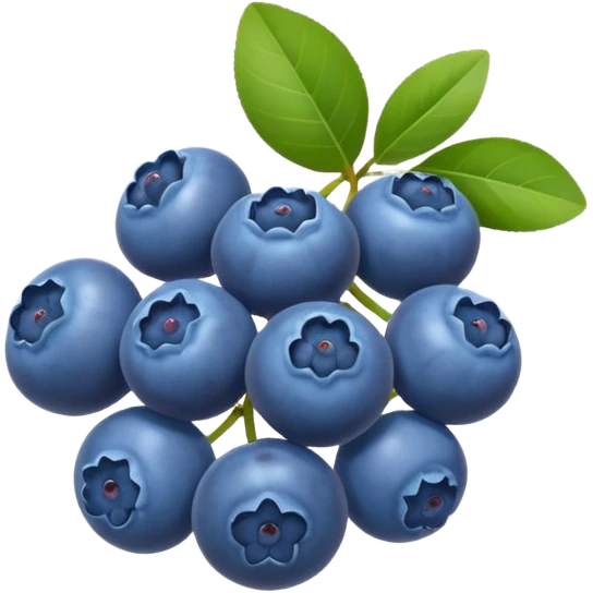 Blueberries emoji