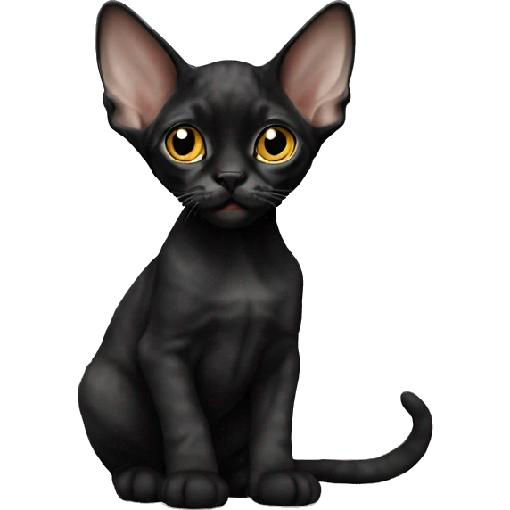 Black Devon Rex kitten emoji