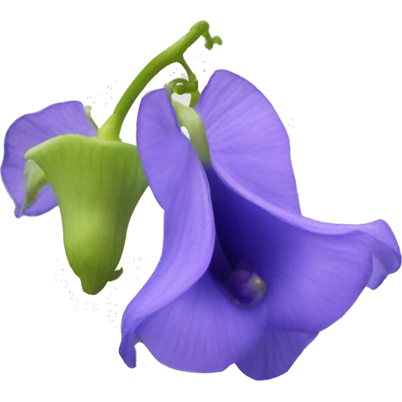 Clitoria ternatea flower emoji