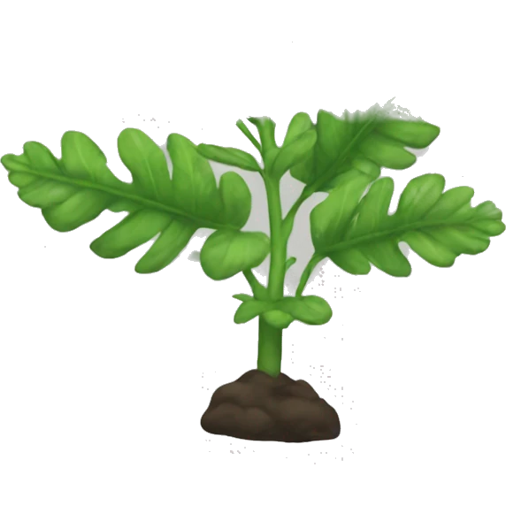 Rue plant emoji