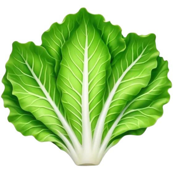 single lettuce leaf on a plate emoji