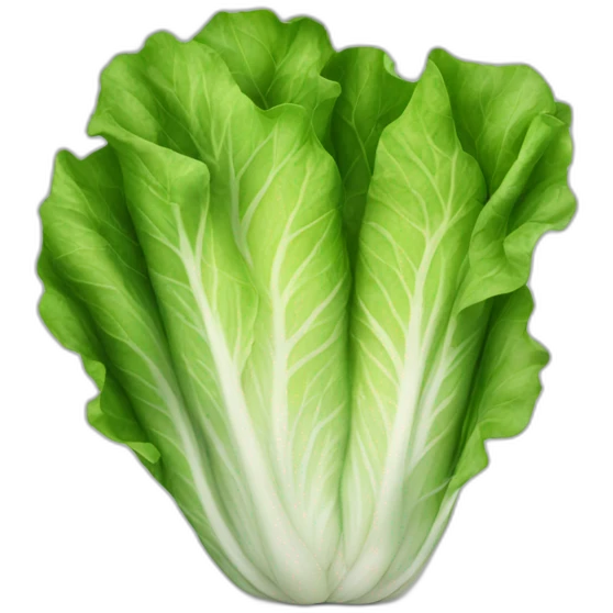 roman lettuce emoji