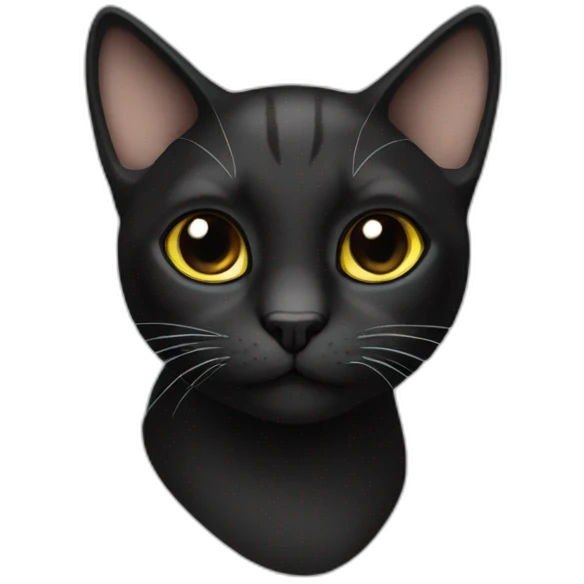 Cat black emoji