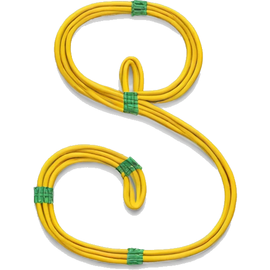A dollar sign made out of ethernet cables emoji