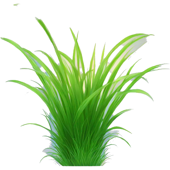 grass and sky emoji