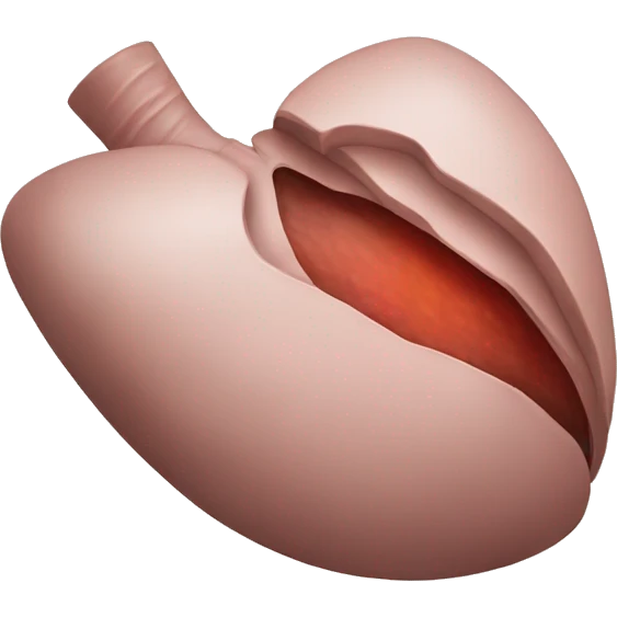 Liver emoji