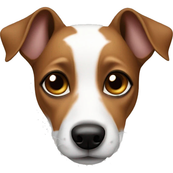 Jack Russel terrier with ears brown and around eyes brown but middle part is white emoji