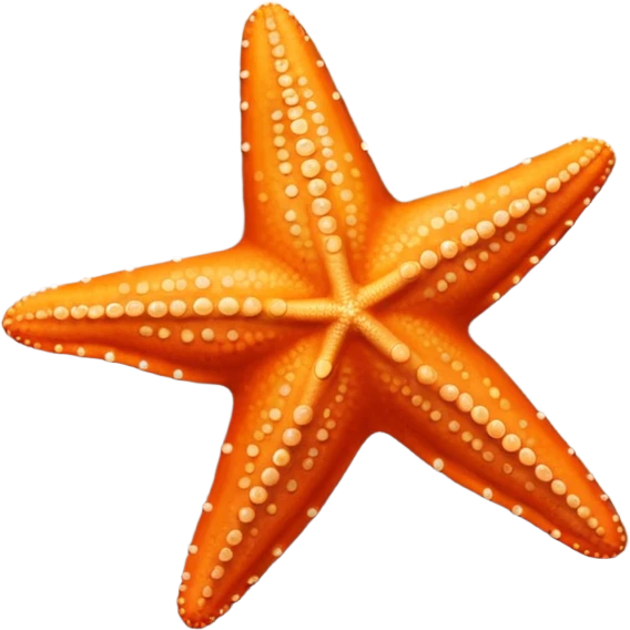 starfish on sandy beach, top-down view emoji