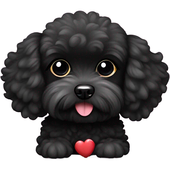 black Maltipoo with heart  emoji