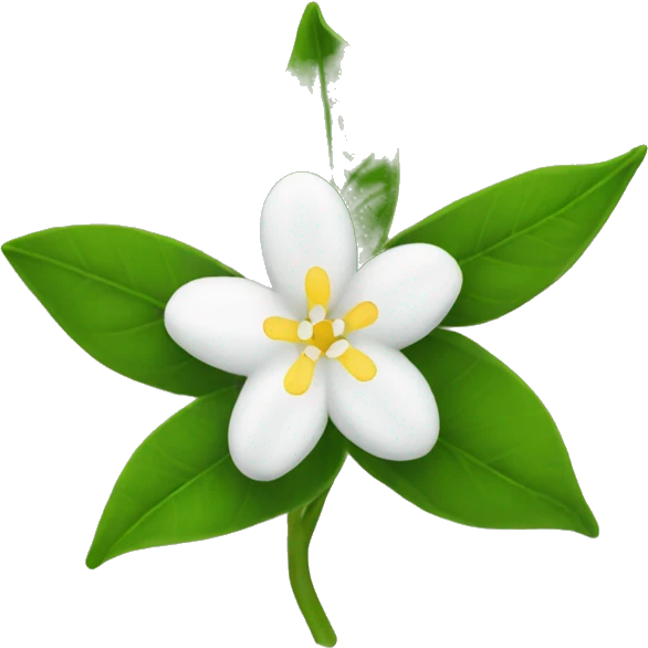Jasmin flower tunisia  emoji