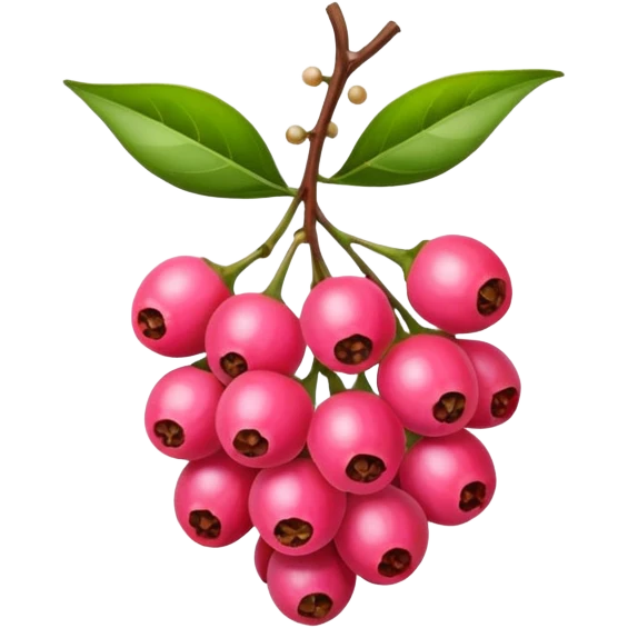 bright pink pepper corn scent emoji
