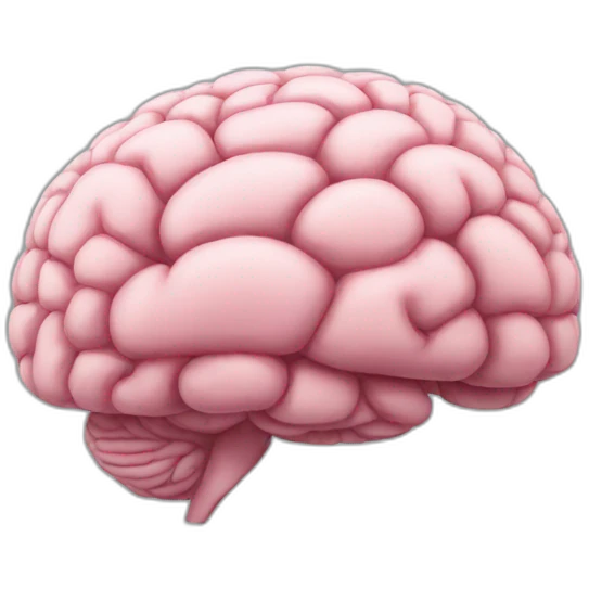 brain like emoji