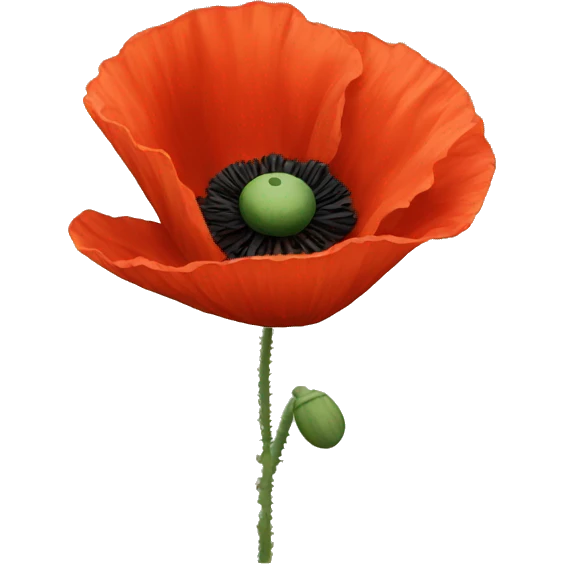 Poppy emoji