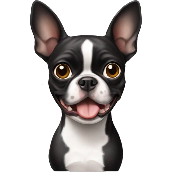 boston terrier crazy  emoji