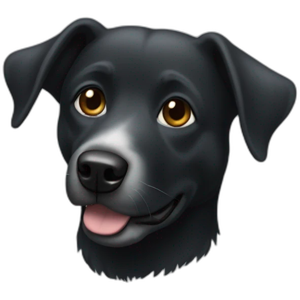 Un chien noir qui fais du toboggan emoji