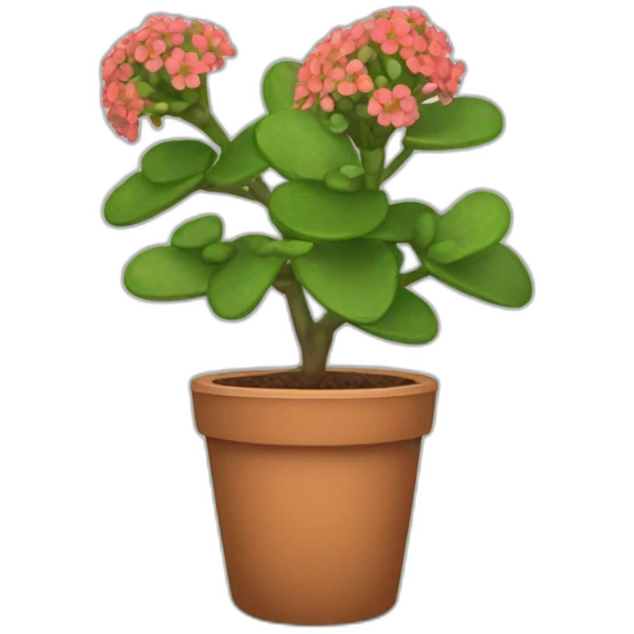 Kalanchoe emoji