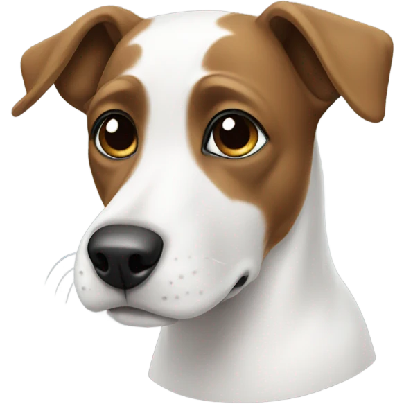 Dog white and black  emoji