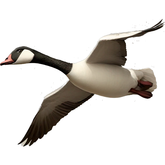 Geese flying emoji