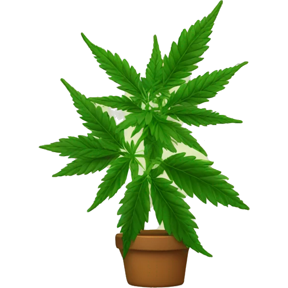 Marijuana plant emoji