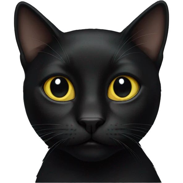 black cat emoji