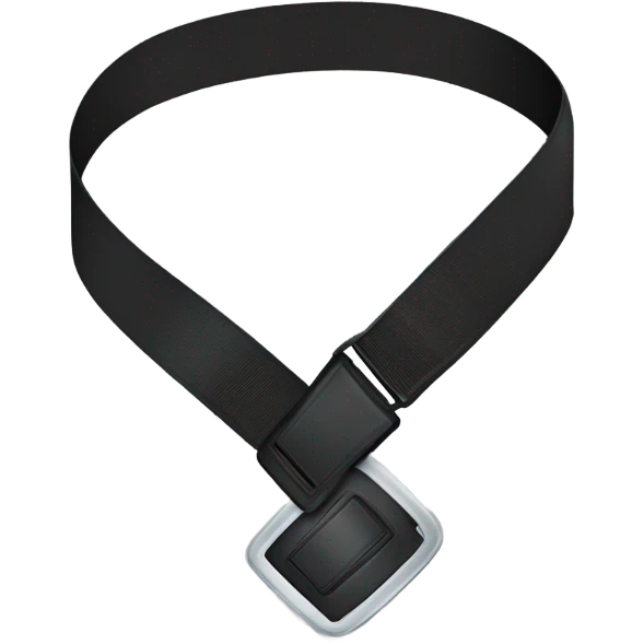 typical crossbody seat belt from a regular car emoji