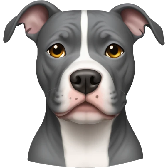 Grey pitbull with a white stripe down the middle of the face emoji