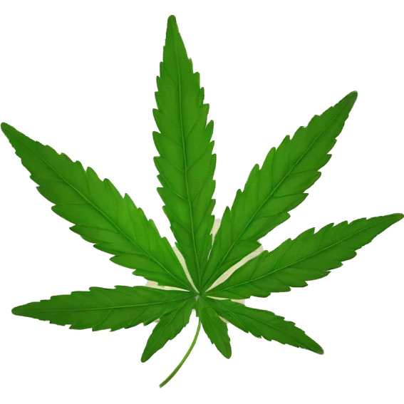 weed herb emoji