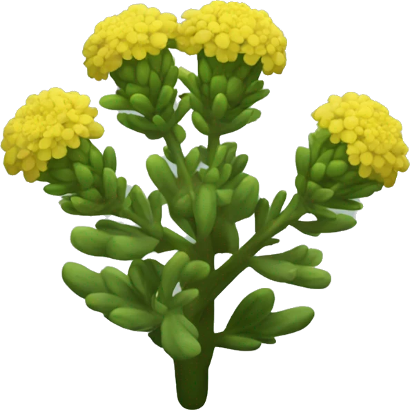 Rhodiola rosea emoji