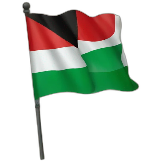 tatty palestine flag emoji